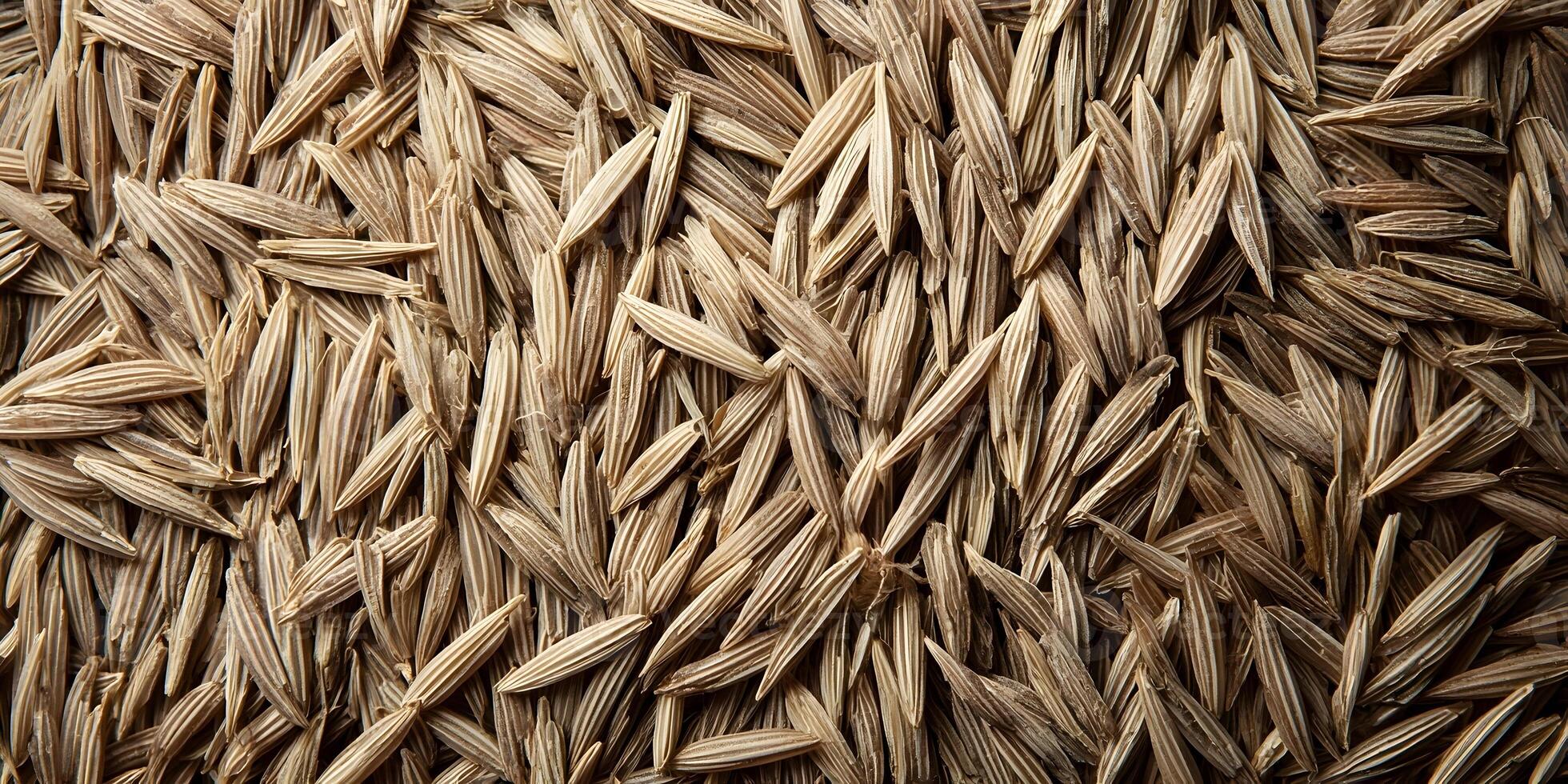 Closeup of Light Brown Grass Seeds Pile Texture Background photo