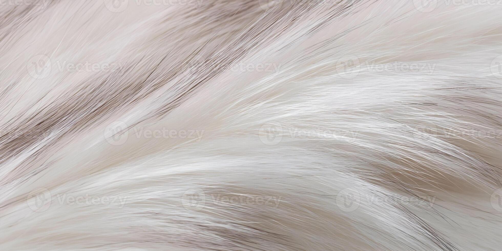 White and Brown Animal Fur Texture Close Up Detailed Soft Fluffy Hair Background photo