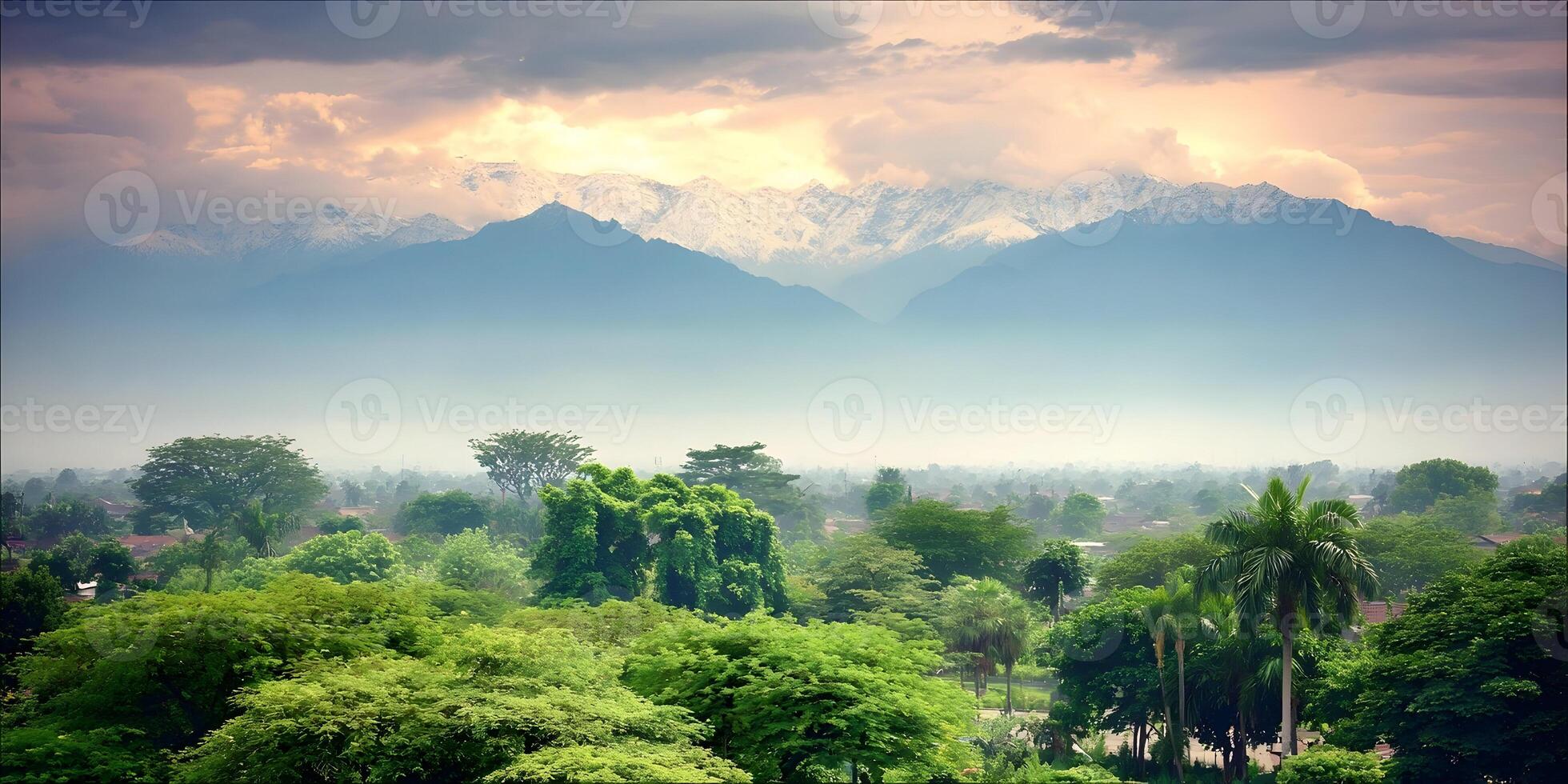 Misty Mountain Landscape Lush Greenery Tropical Trees Snowcapped Peaks photo