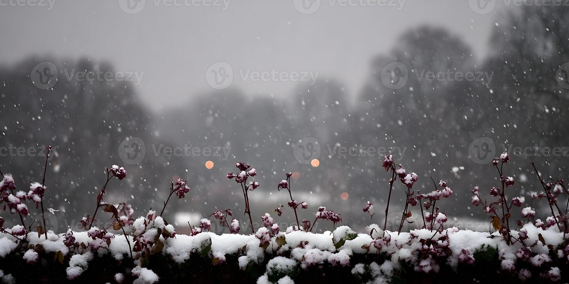 Snow Covered Plants Winter Scene Snowy Landscape Cold Weather photo