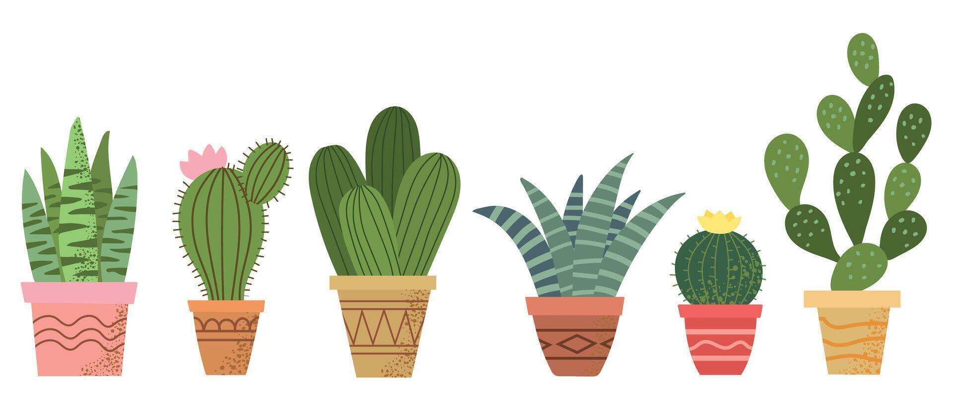 Colorful cacti in decorative pots vector