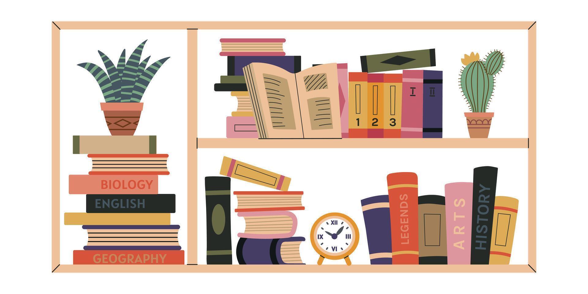 Books on a shelf with a clock vector