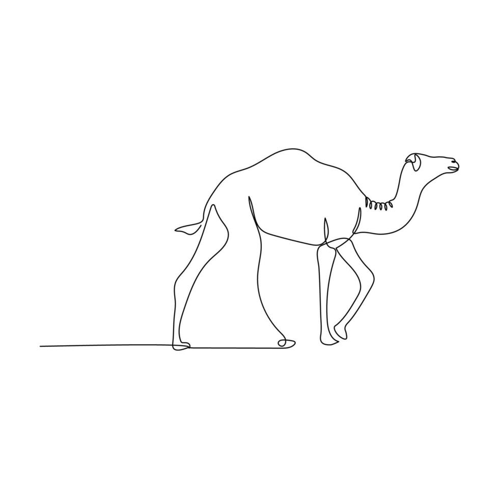 Camel in continuous line drawing style. Animal in black linear sketch isolated on white background vector