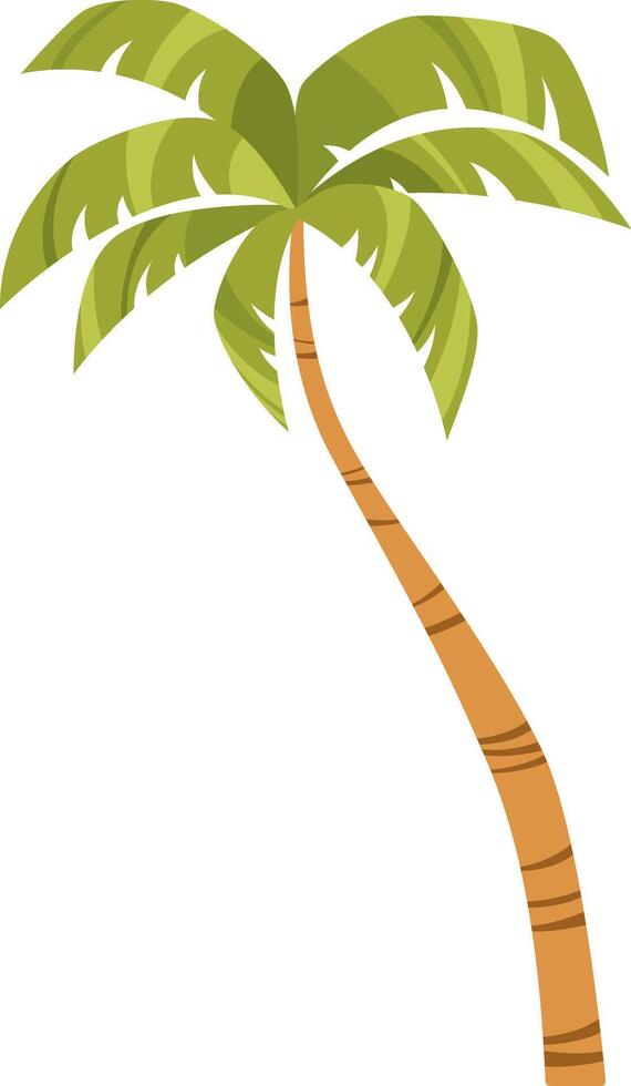Tropical green palm tree with leaves. Hand drawn simple cartoon illustration. vector