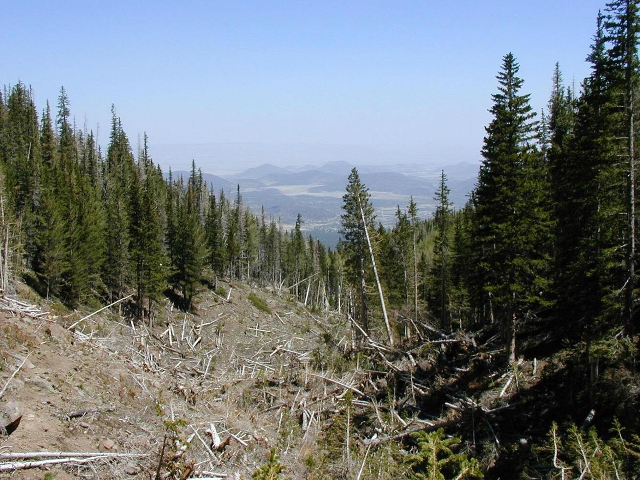 A Clearing's View of Distant Peaks and Valley photo