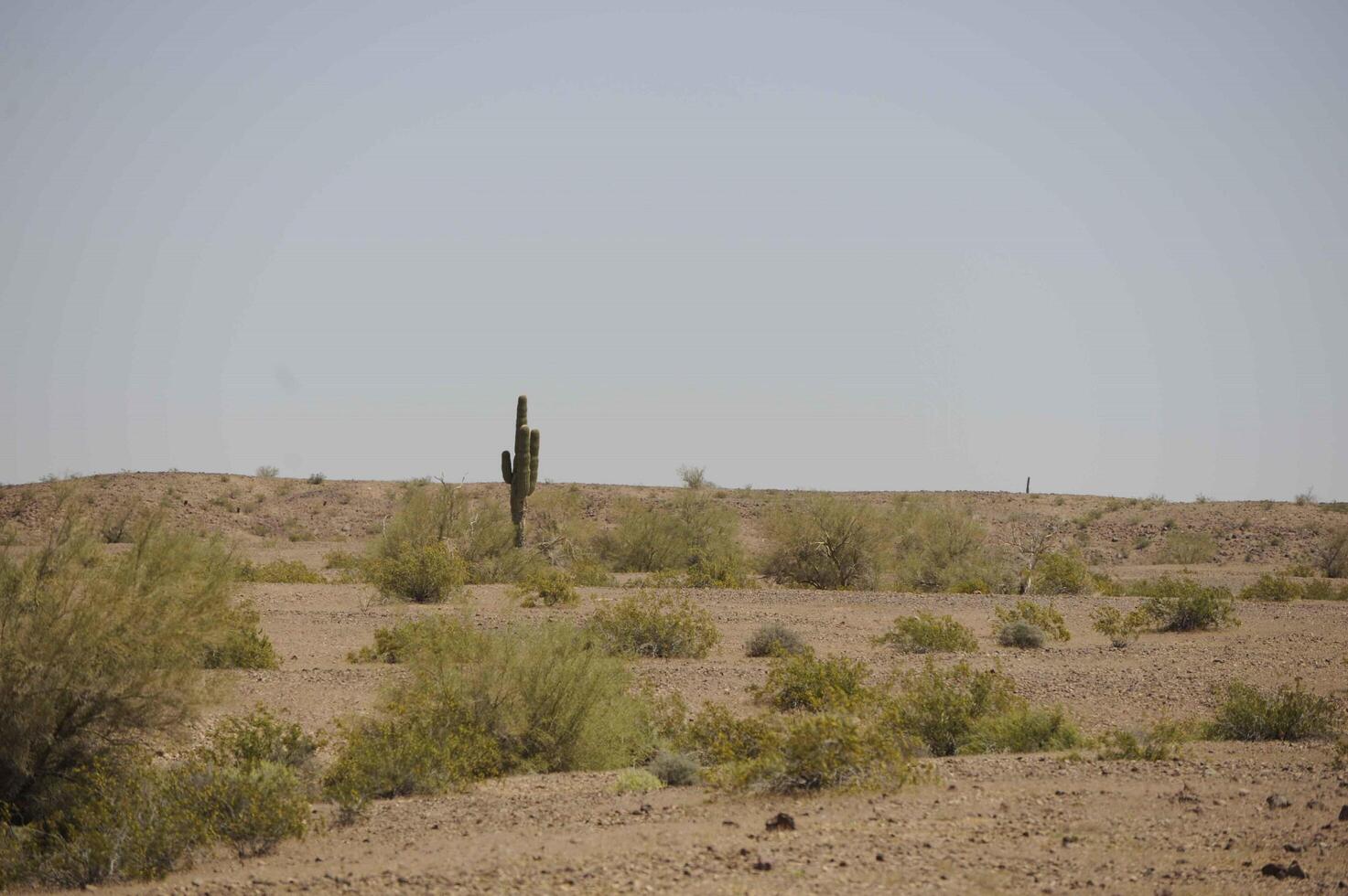 A Vast Desert Landscape on Cibola National Grassland Under a Hazy Sky photo