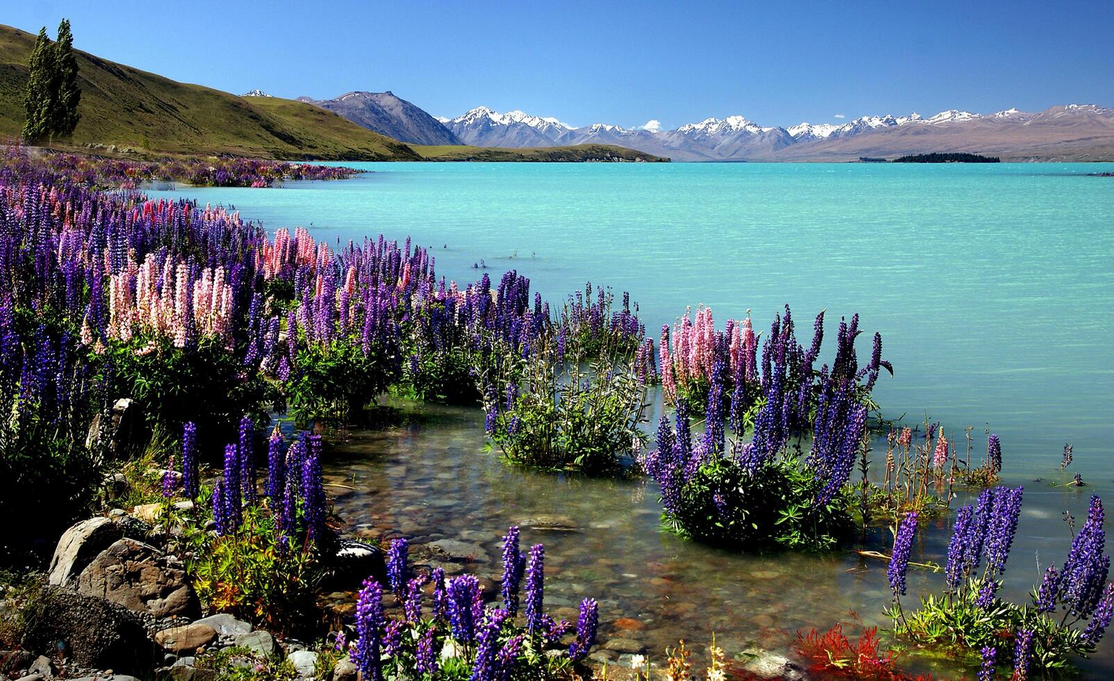Lake Tepako