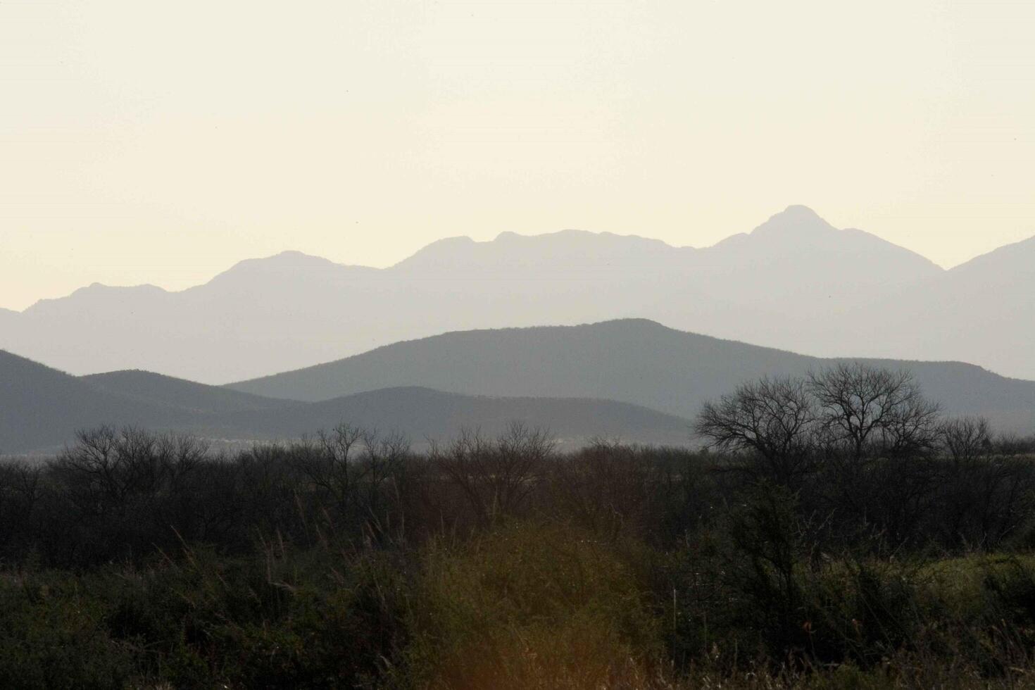 A Serene Desert Landscape with Silhouetted Mountains and Sparse Vegetation at Dusk photo