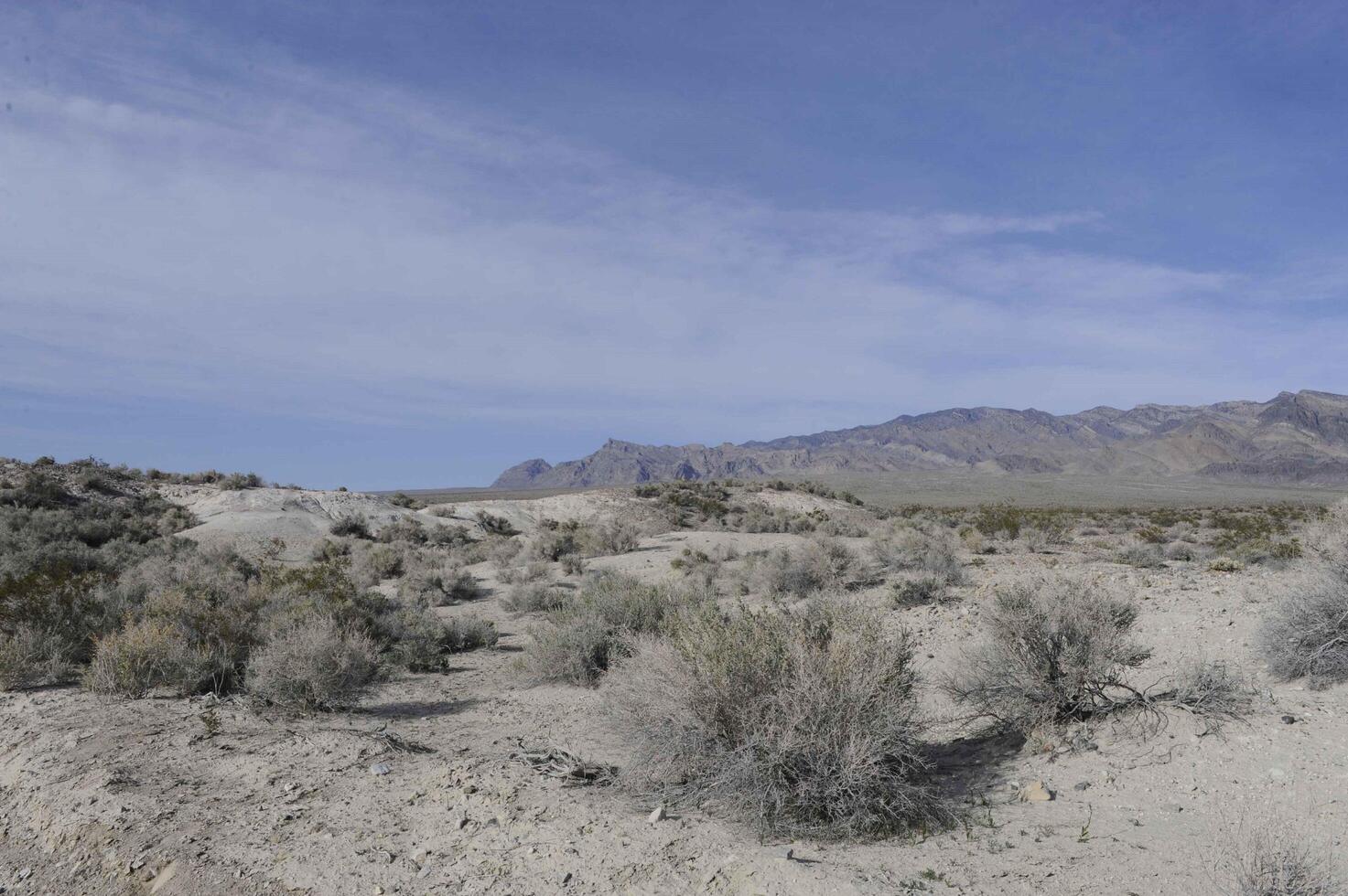 A Serene Landscape of Arid Beauty with Distant Mountains photo