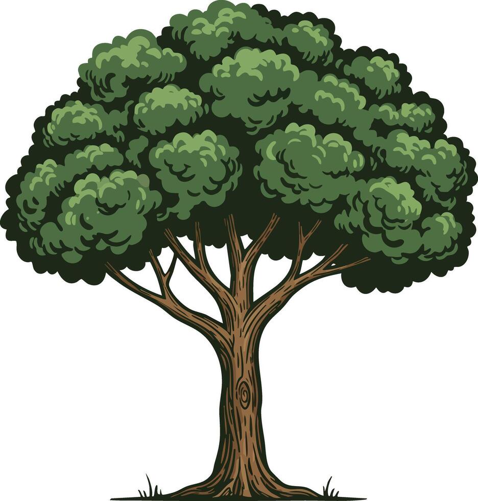 Large green leafy tree with sturdy brown trunk illustration natural flora design vector