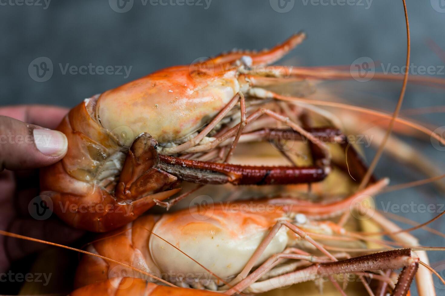 Hand holding fresh steamed river prawns photo