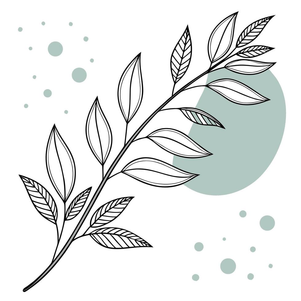 Elegant Botanical Line Art Branch vector