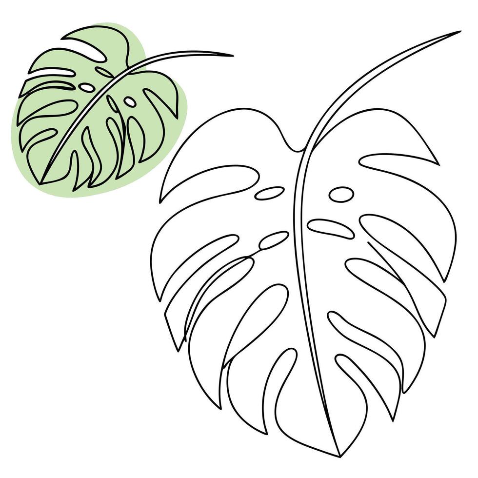 Minimalist Monstera Leaf Line Art vector
