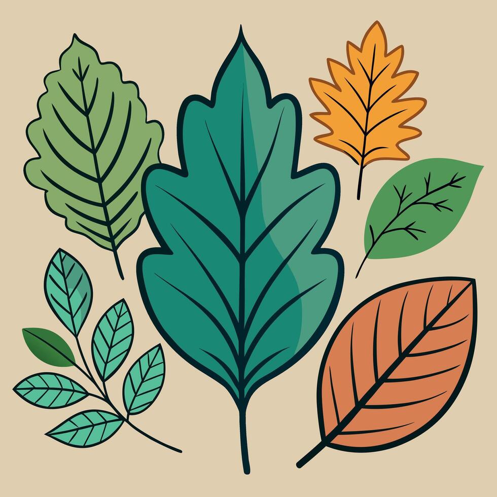 Assorted Nature Leaves Illustration vector