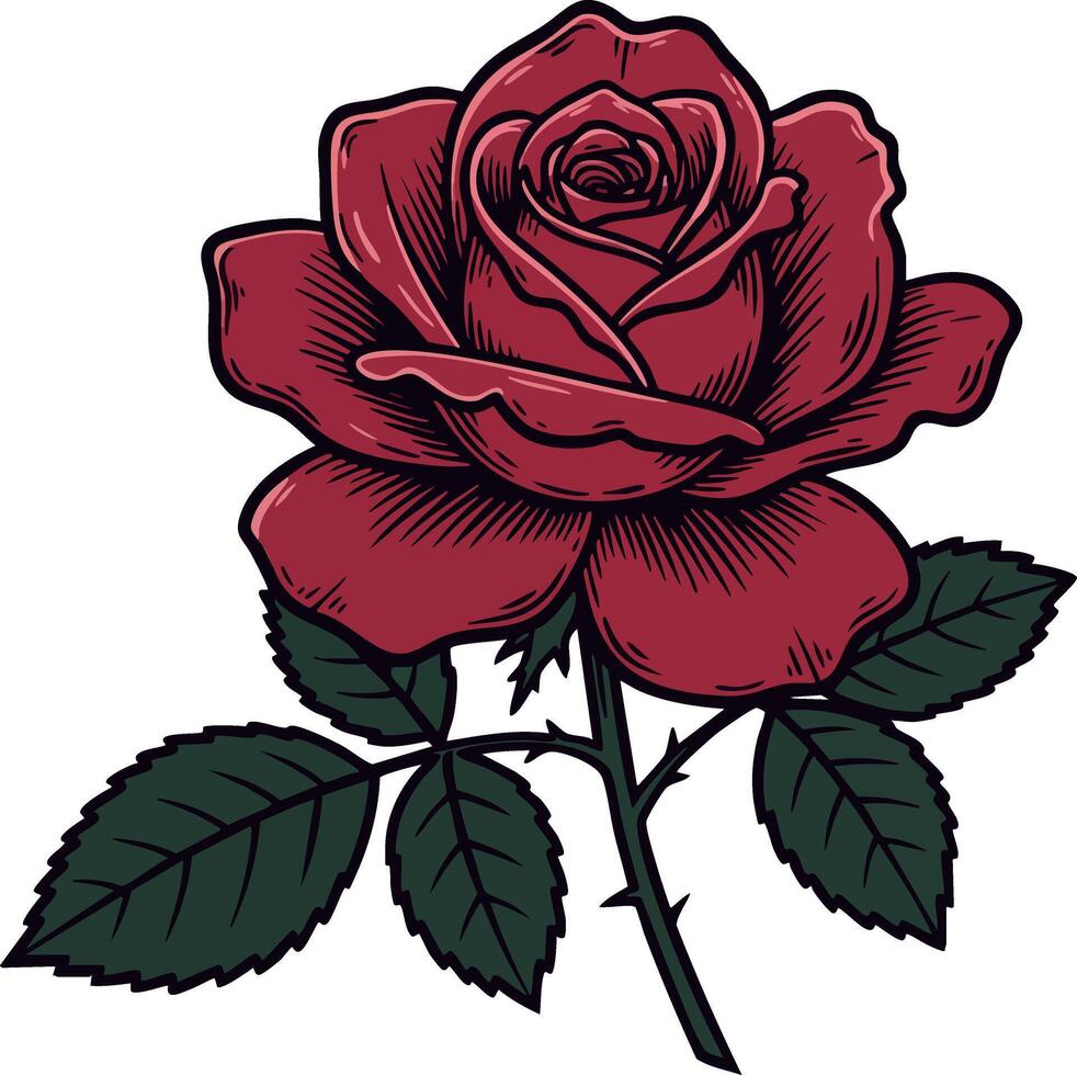 Red rose flower with green leaves illustration detailed natural floral design vector