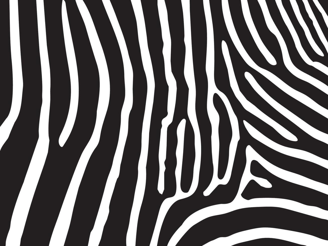 Abstract zebra stripe pattern in black and white. High-contrast animal skin design, perfect for backgrounds, textiles, and wildlife-themed artwork. vector