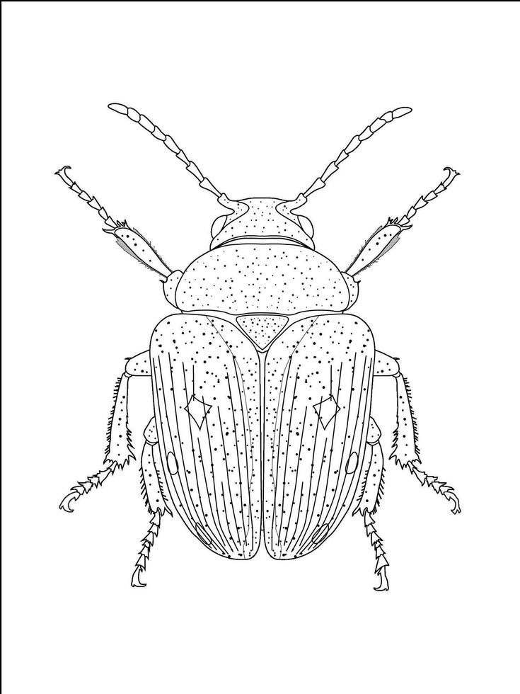 Detailed black and white line art illustration of a beetle, perfect for coloring pages, scientific studies, or decorative insect designs vector