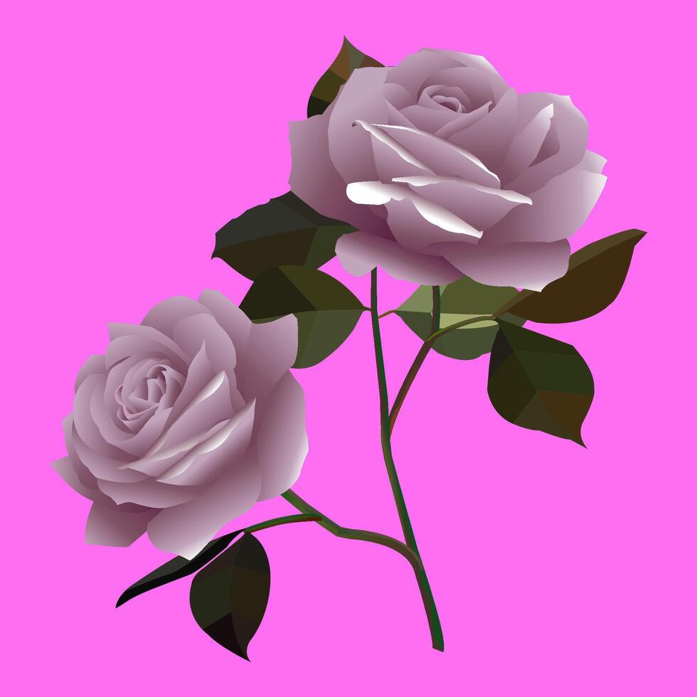 A beautiful illustration of two detailed roses and green leaves on a vibrant background. Showcasing intricate petal details and dynamic contrast, perfect for floral-themed or romantic designs vector