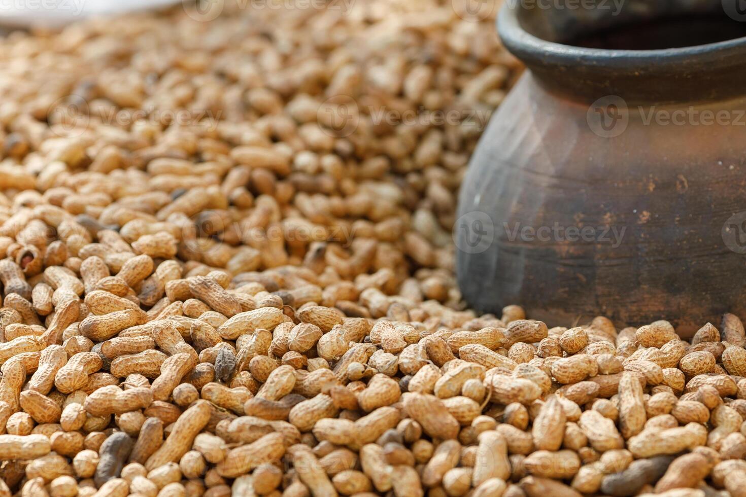 Organic Raw Peanuts Harvested on Farm in Rustic Pottery Traditional Agricultural Crop and Food Production photo
