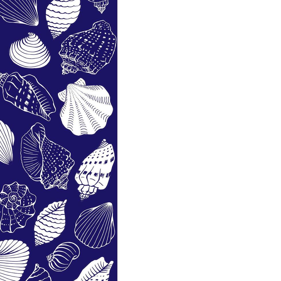 Frame seashells Hand drawn illustration vector