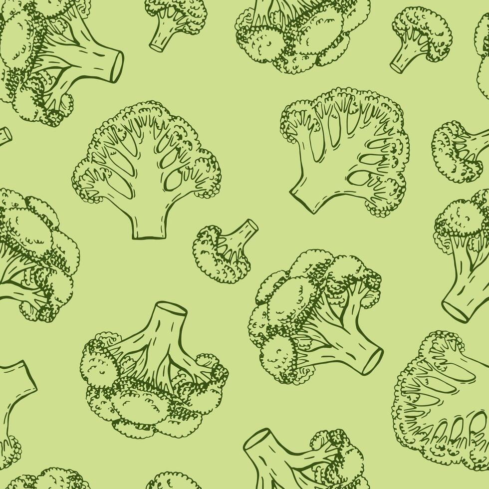 Seamless pattern with broccoli. Hand drawn illustration vector