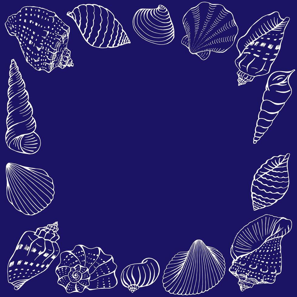 Frame seashells with copy space for design or message. Hand drawn vector