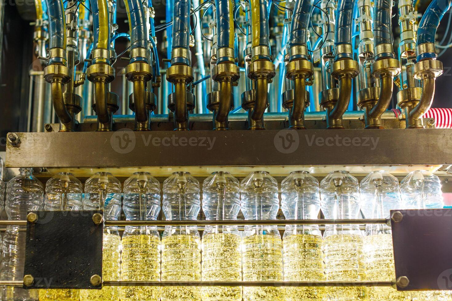 Automated Sunflower Oil Production Line in Modern Factory with Filling Nozzles and Transparent Bottles photo