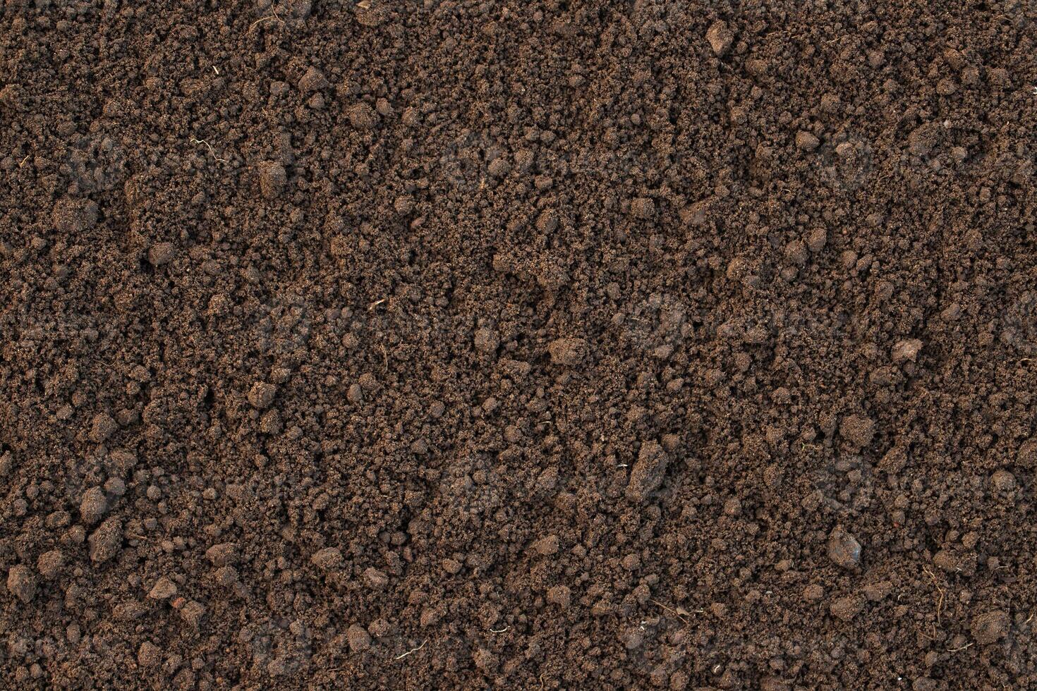 brown soil on the farm, top view. prepared humus for planting photo