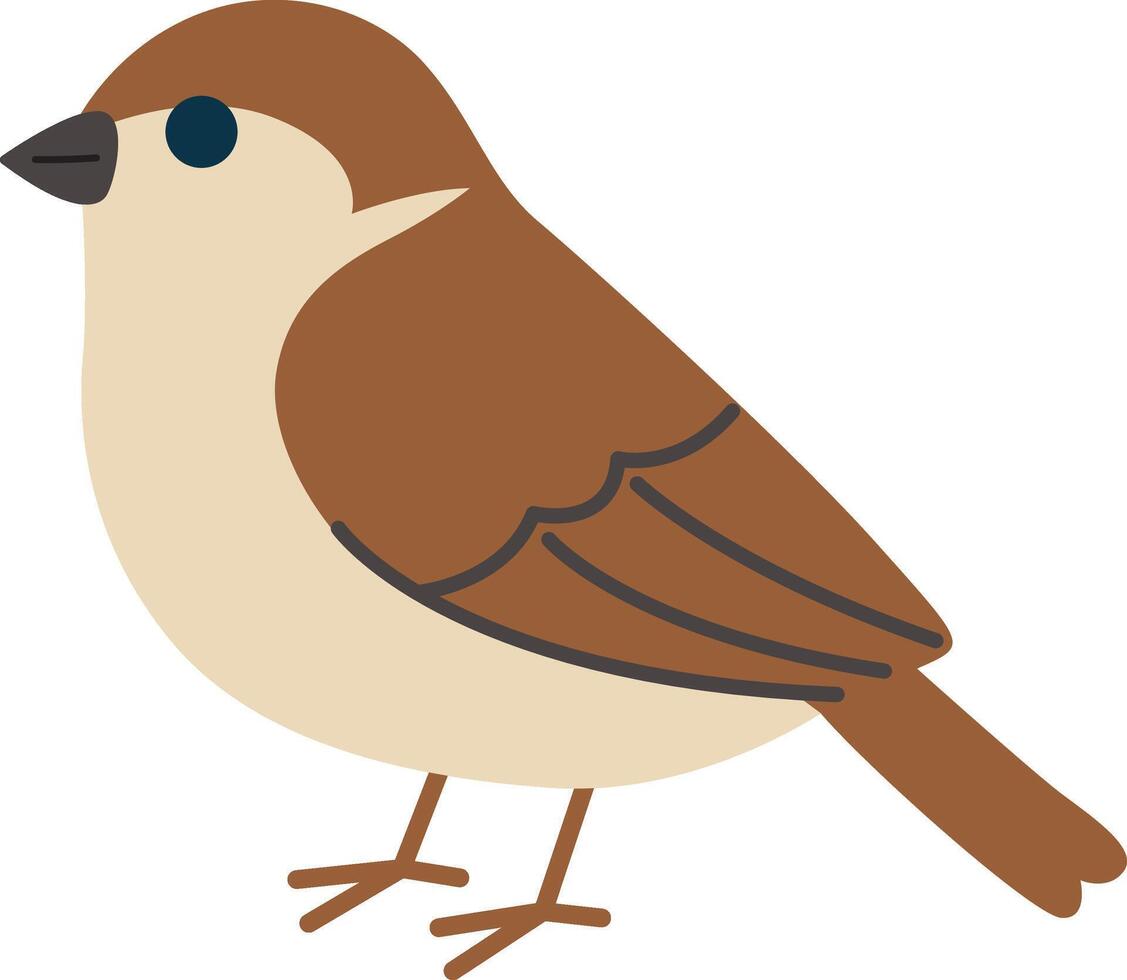 Cute sparrow bird. Suitable for nature blogs, wildlife magazines, birdwatching websites, and educational materials vector