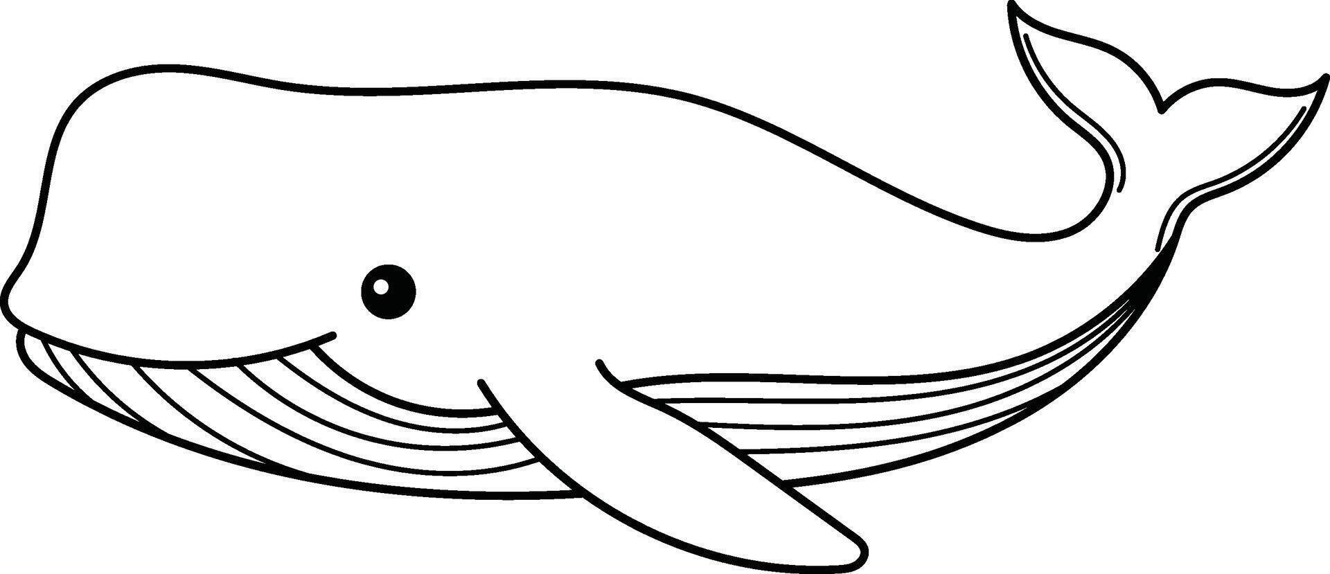 Simple black line drawing of a whale, perfect for marine themed designs logos, posters, educational materials, for apparel prints vector