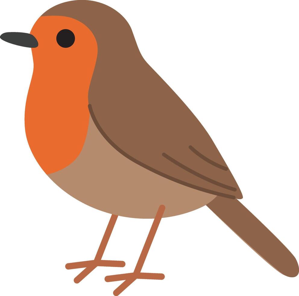 Cute robin bird with brown and orange plumage. Suitable for spring designs, wildlife publications, greeting cards, and nature themed websites vector
