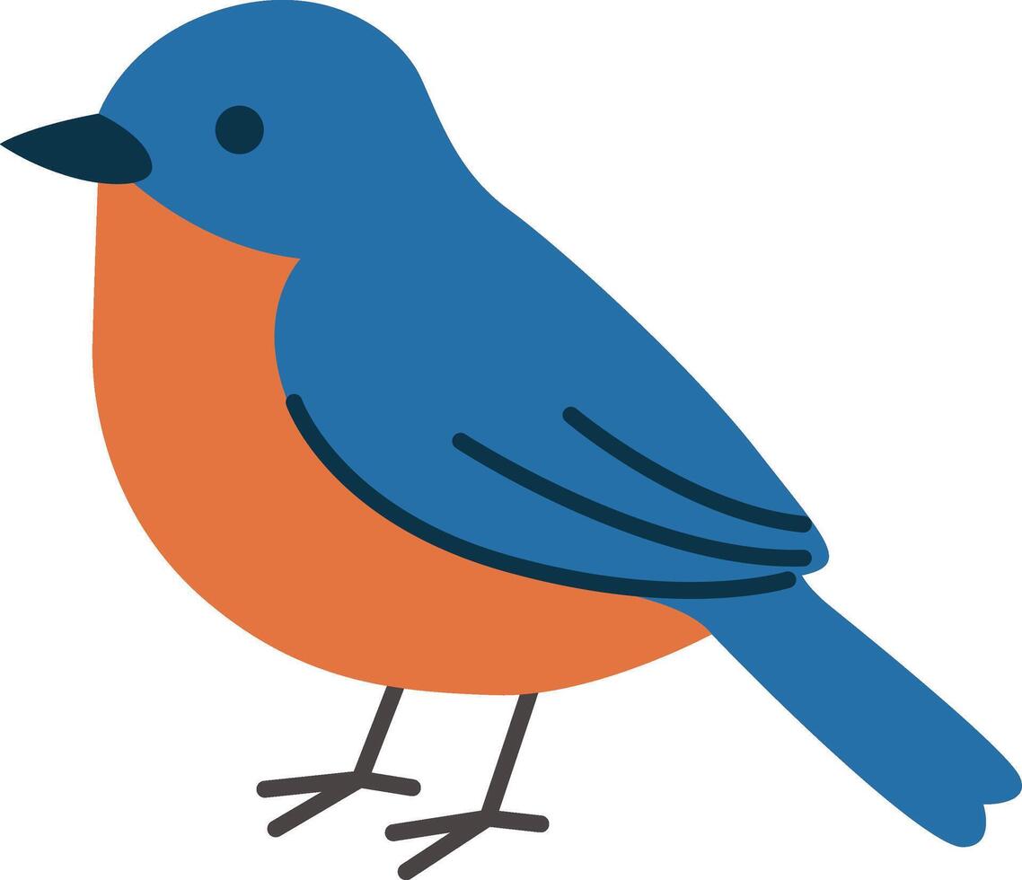 Cute bluebird with vibrant orange underparts, perfect for nature designs, greeting cards, birdwatching enthusiasts, and wildlife conservation promotions vector
