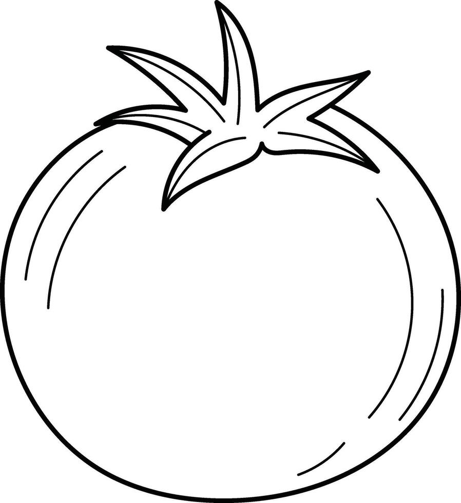 Simple line drawing of a tomato suitable for culinary designs, food blogs, recipe cards, and farmers market logos. Bold, minimalist, versatile vector