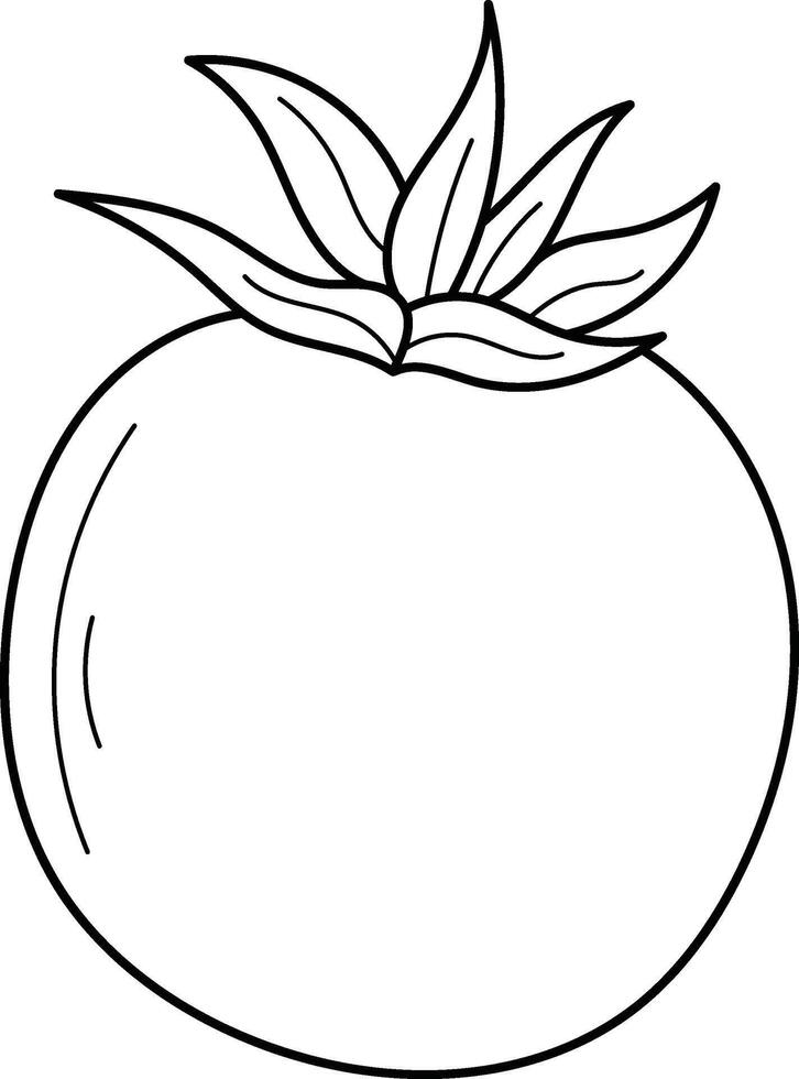 Simple line drawing of a tomato suitable for food blogs, recipe cards, kitchen decor, and agricultural illustrations. Vibrant and versatile design vector