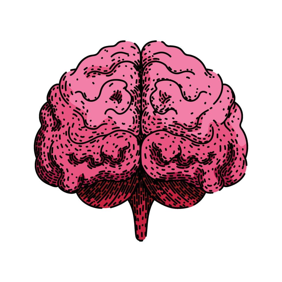 neuroplasticity brain sketch hand drawn item vector