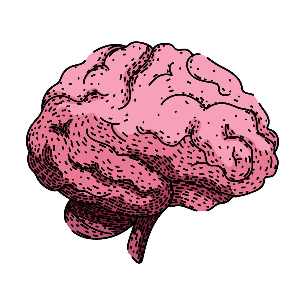 neurons brain sketch hand drawn element vector