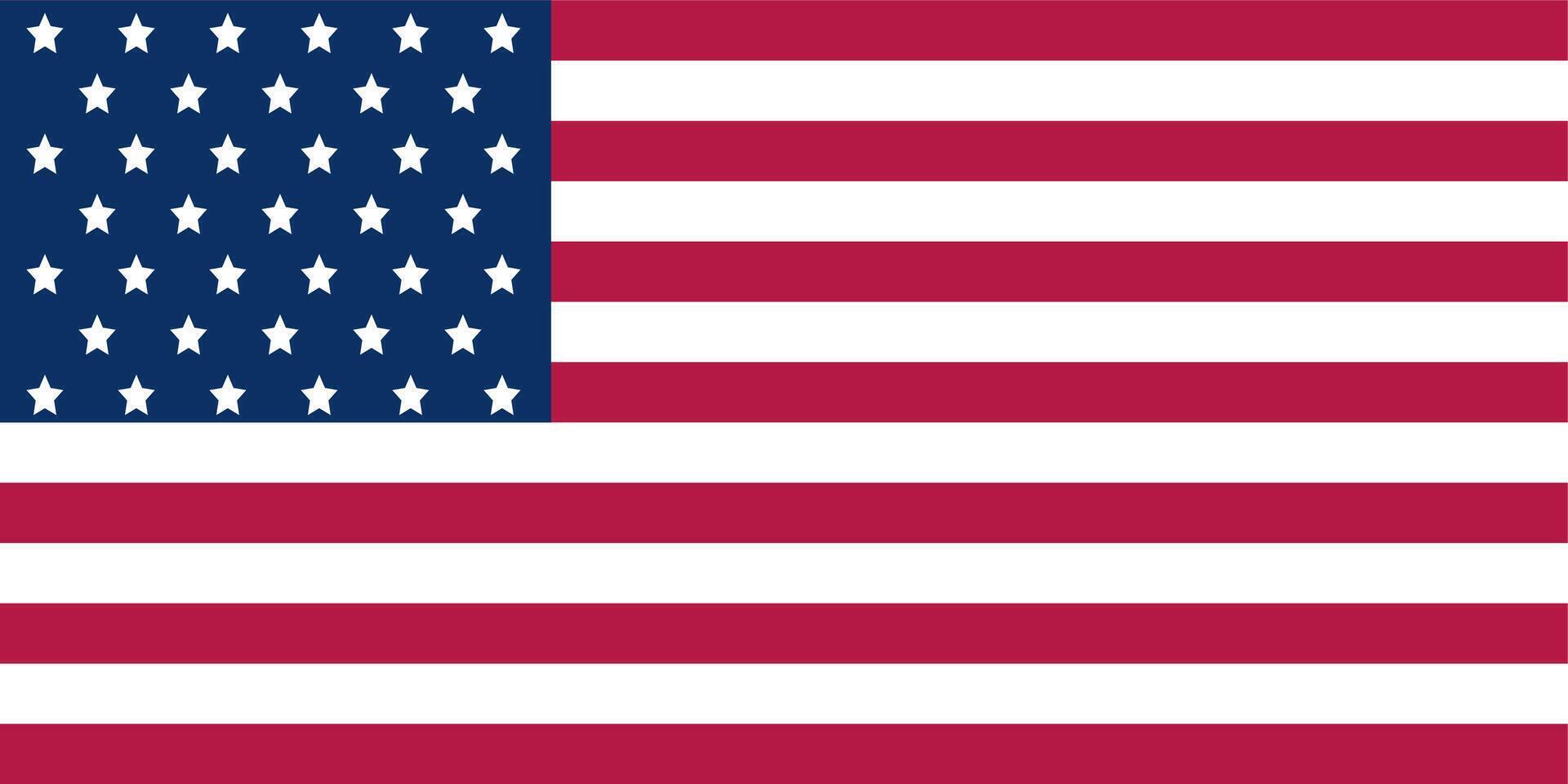 Flag of the United States of America - USA National Flag vector
