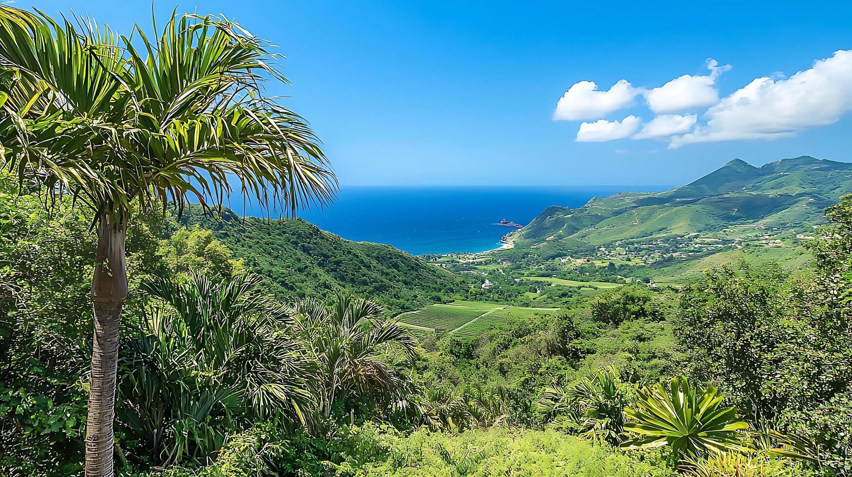 Lush green tropical valley overlooking a sparkling blue ocean under a clear sky. photo