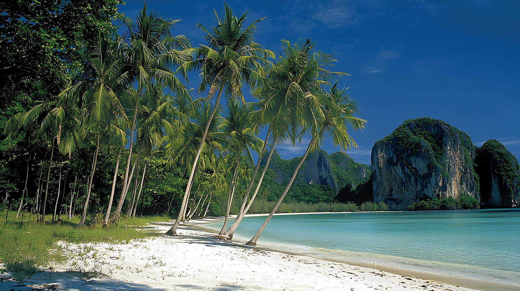 Idyllic tropical beach paradise with lush palm trees and turquoise waters. A secluded sandy shore is framed by verdant mountains under a clear blue sky. photo