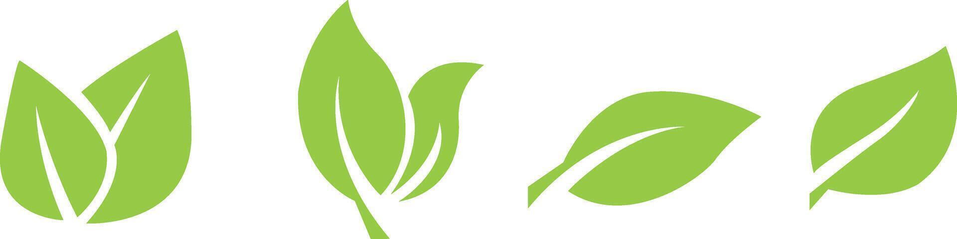 Green leaf icons set. Leaves icon, Collection green leaf. Elements design for natural, eco, vegan, bio labels. illustration vector