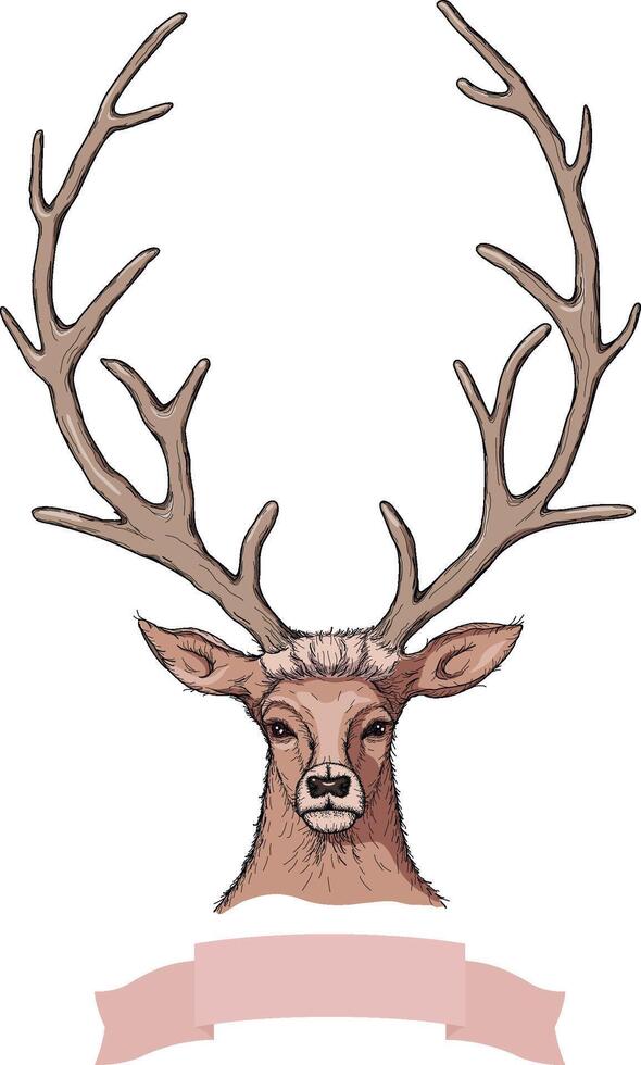 Linear pastel colored sketch of beautiful light brown deer with big horns and beautiful eyes and pink ribbon banner with empty place for your text vector
