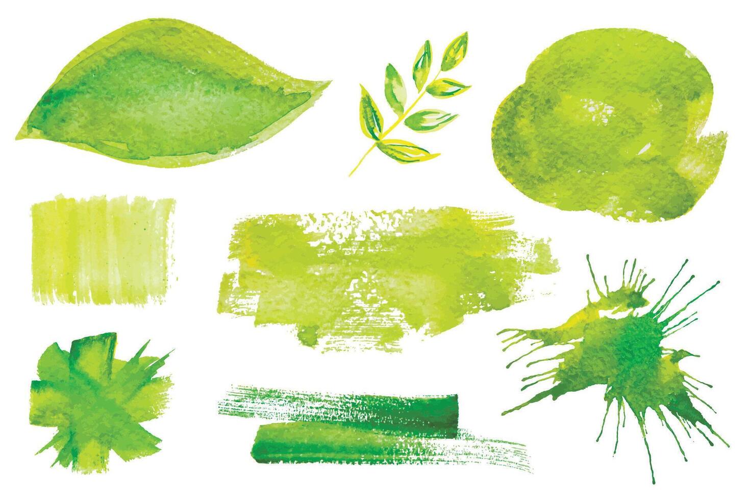 Set of fresh green hand drawn watercolor design elements,splashes,stains,dabs,branch, isolated on the white background for your design vector