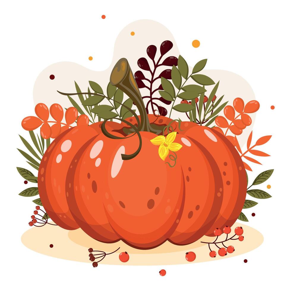 Pumpkin with leaves and flowers vector