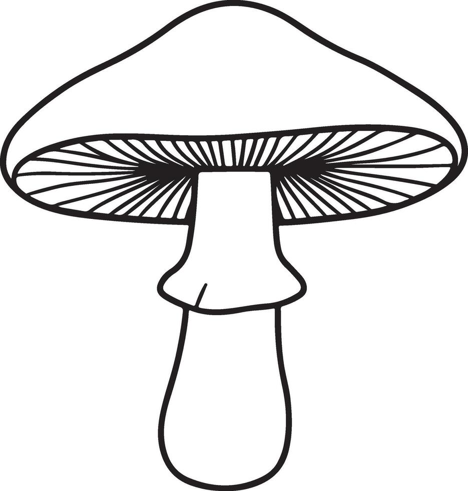Clean boletus mushroom outline graphic for natural products vector