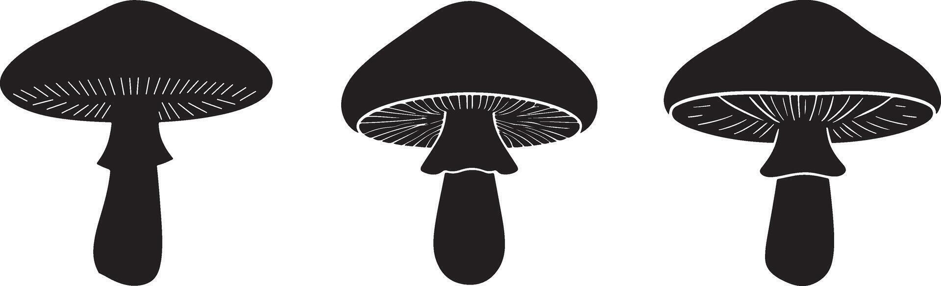 Modern boletus mushroom set silhouette design for natural products vector