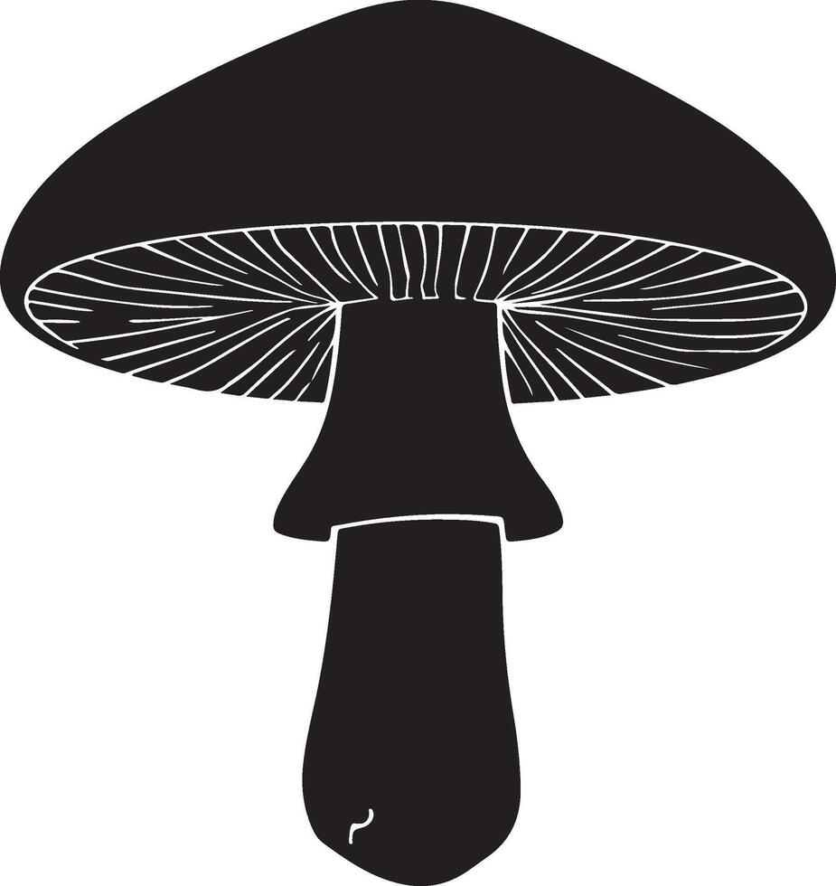 Natural boletus mushroom silhouette graphic for herbal illustrations vector