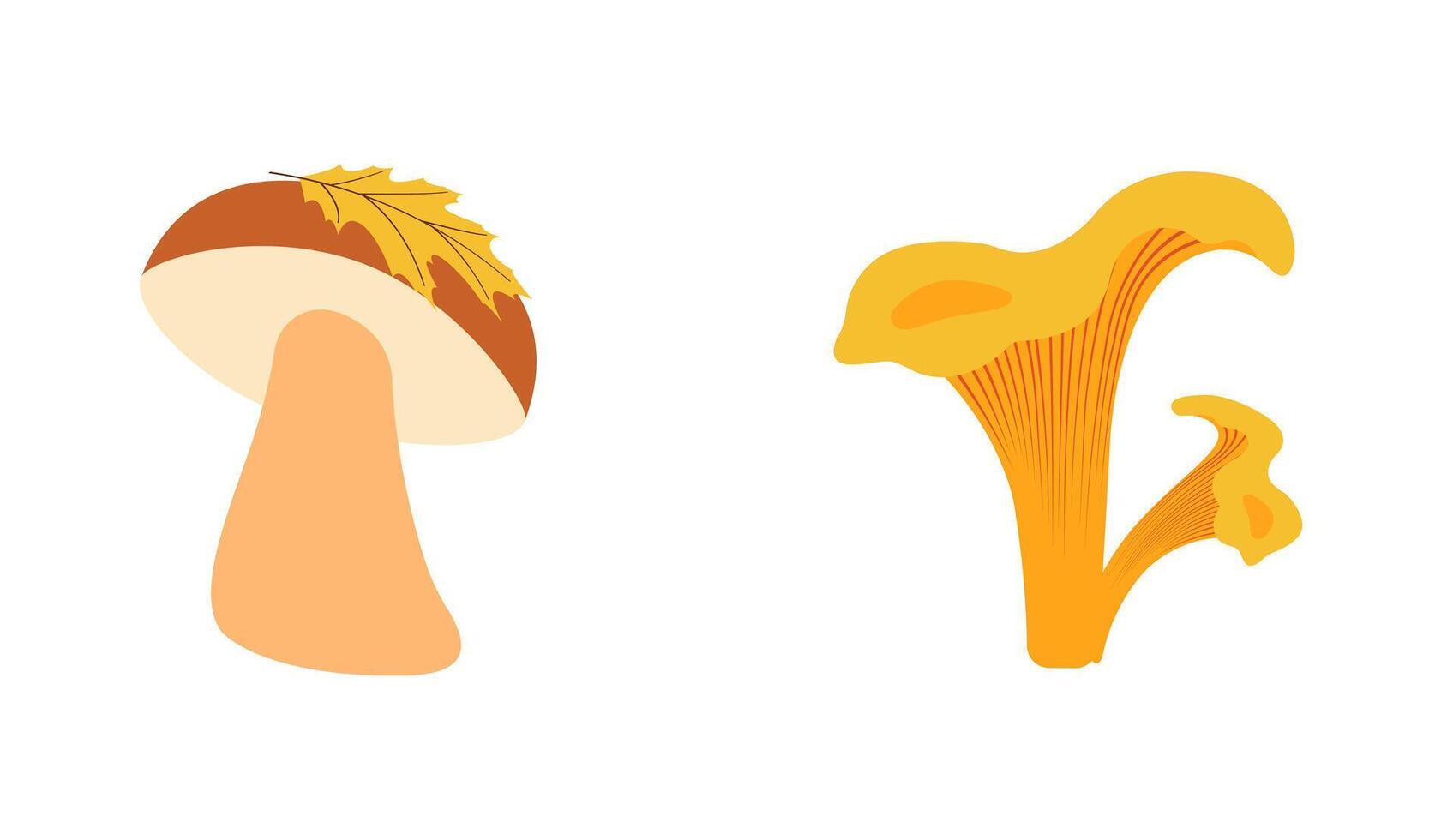 Autumn nature flat vectors. mushrooms with yellow leaf for seasonal projects. Hand drawn set for banners, cards, social media vector