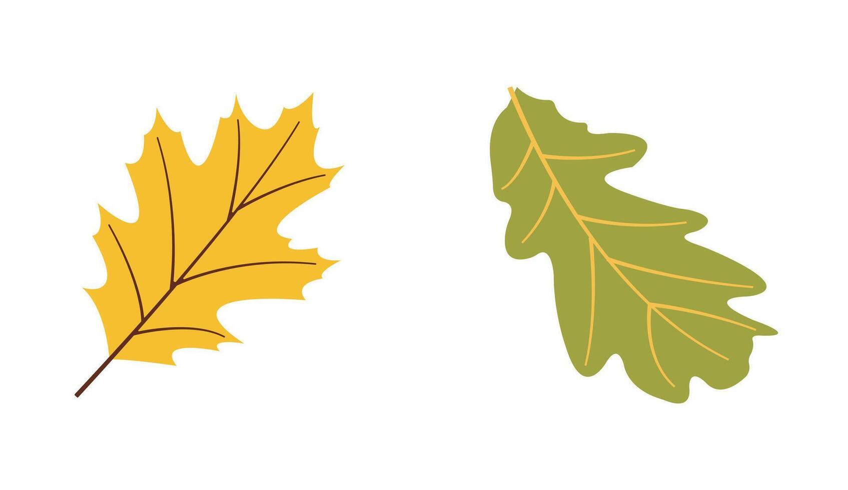Autumn harvest flat elements green leaf, yellow leaf for fall designs vector