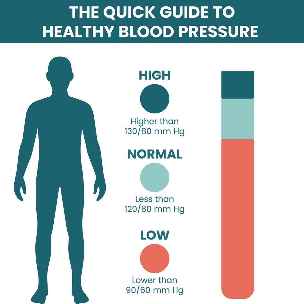 Blood Pressure Chart High, Normal, Low Ranges Healthcare Infographic vector