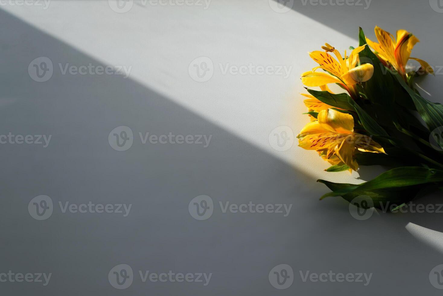 Yellow flowers on a white surface photo